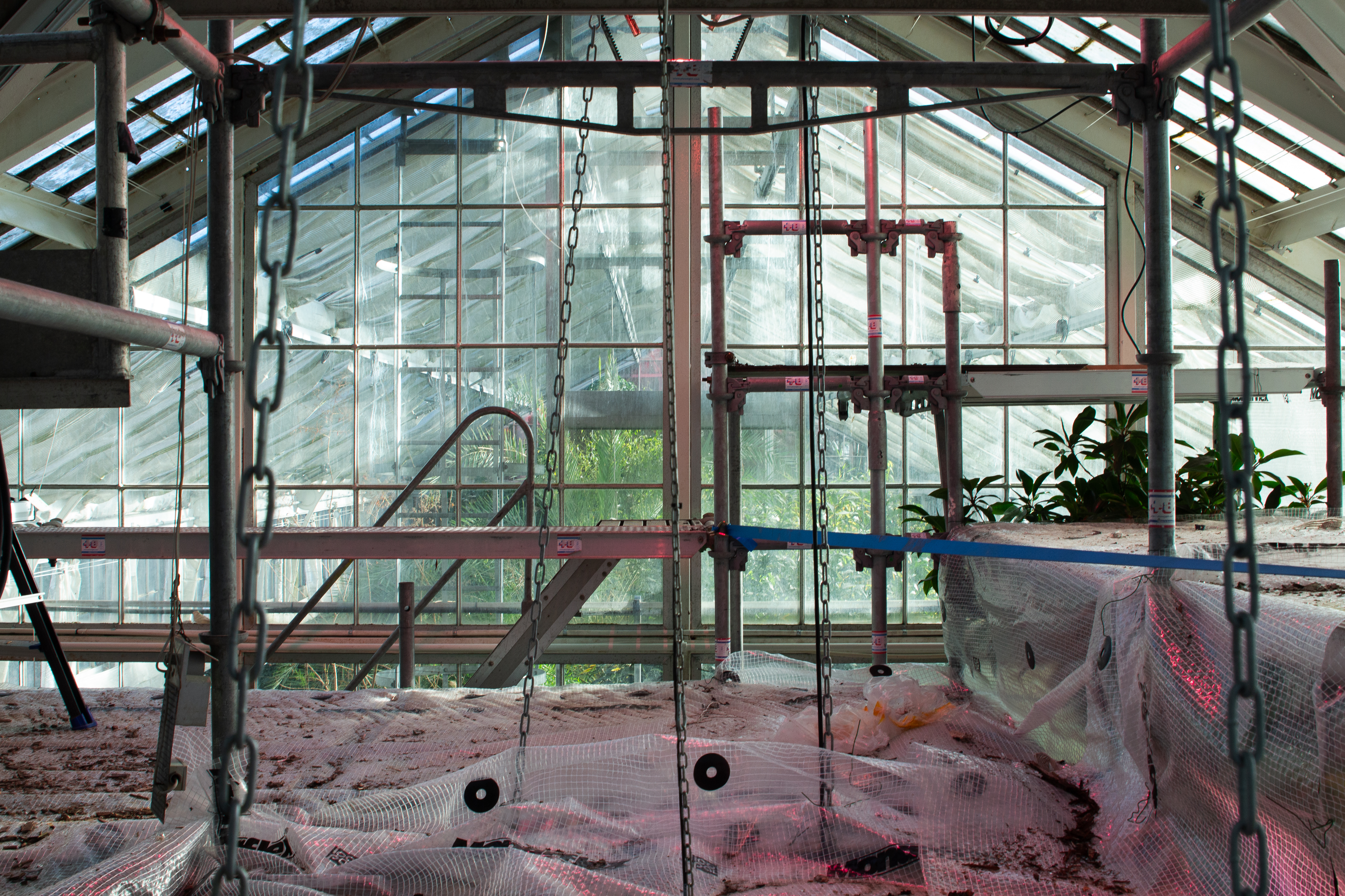 Palm House, restored by Schmidt Hammer Lassen, during restoration