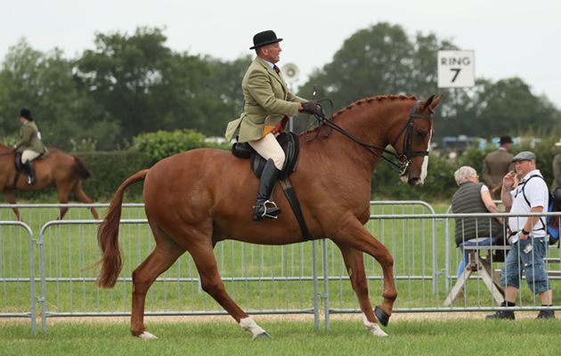 Cheshire County Show 2018