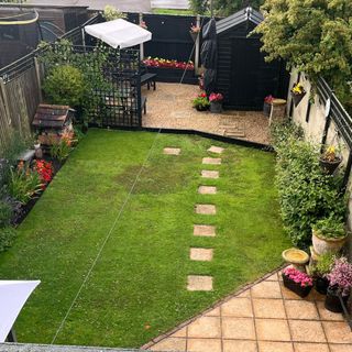 Grass lawn with selfheal weed patch in garden