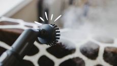 picture of steam cleaner near upholstered furniture