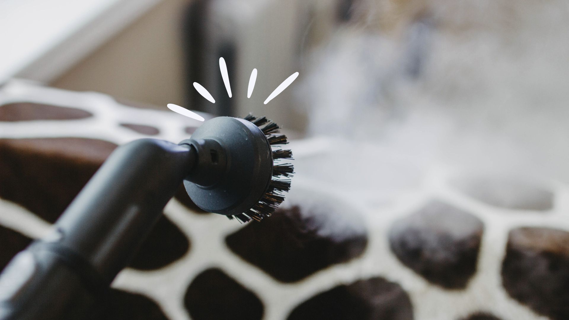 picture of steam cleaner near upholstered furniture