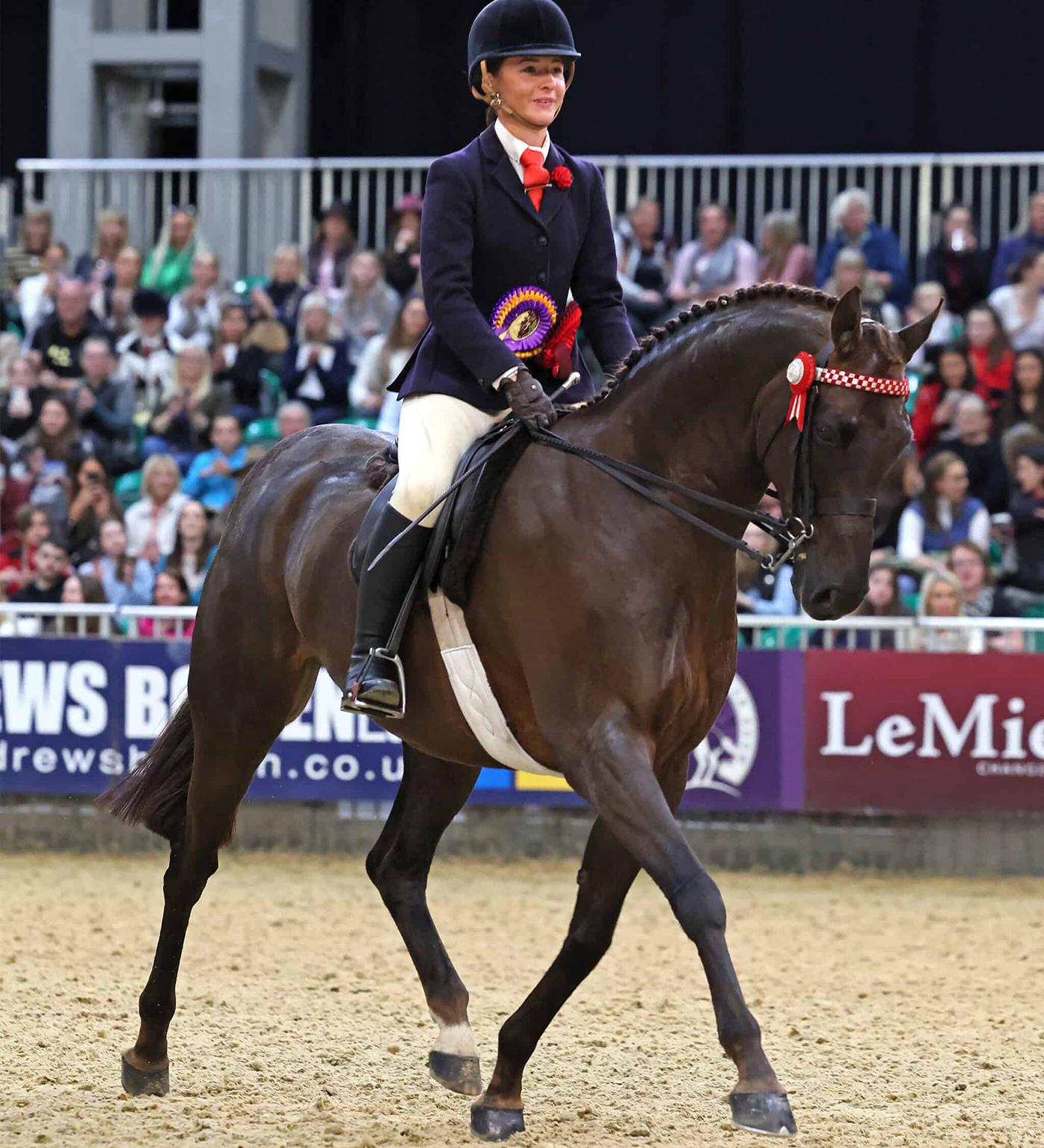 HOYS intermediate show riding type