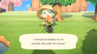 Animal Crossing New Horizons Lost Items