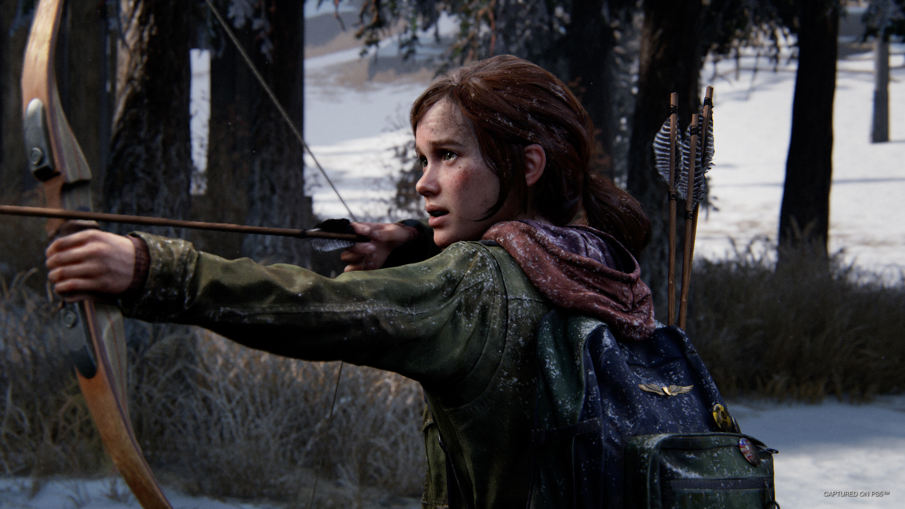 The Last of Us Online Devs Tease their Canceled Game: 'It Was the Highlight  of My Career