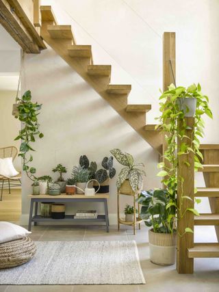hallway filled with potted plants and hanging plants by Garden Trading