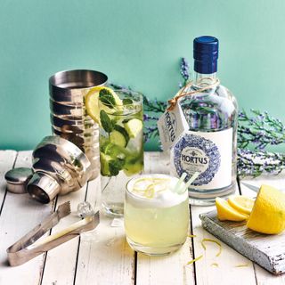 bottle of gin lemons and glasses with drink