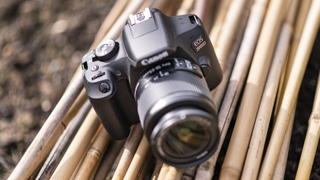 Et kamera av typen Canon EOS 2000D liggende på bambus.