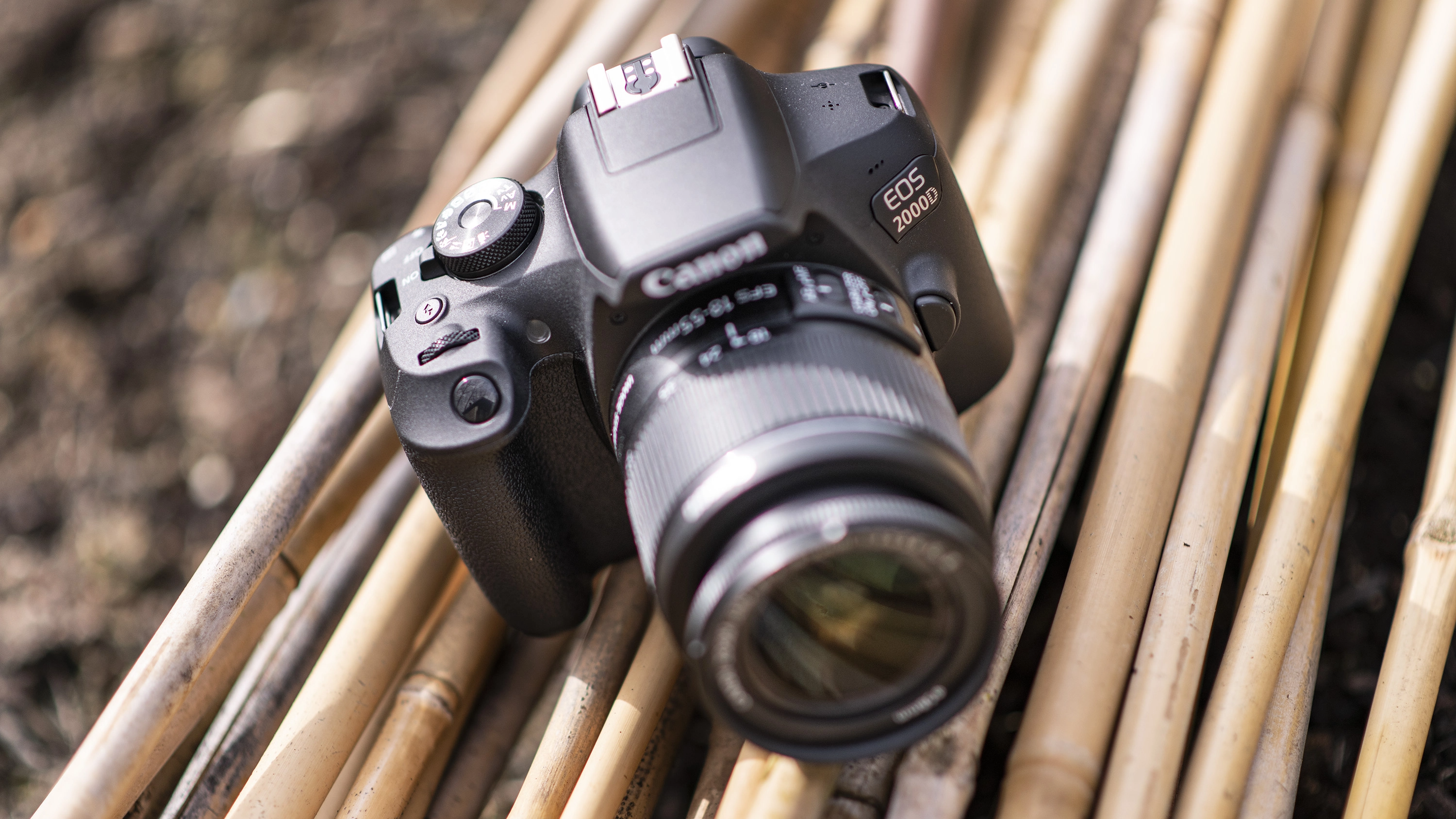 best DSLR camera Canon EOS Rebel T7 / EOS 2000D sitting on a pile of twigs