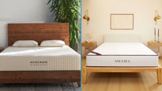 Dunlop vs Talalay latex mattress comparison image shows the Avocado Green mattress on one side and the Awara Natural Hybrid on the right