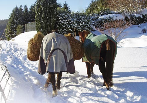 winter.jpg