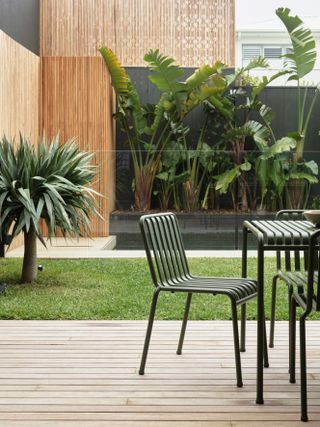 a backyard with tropical plants
