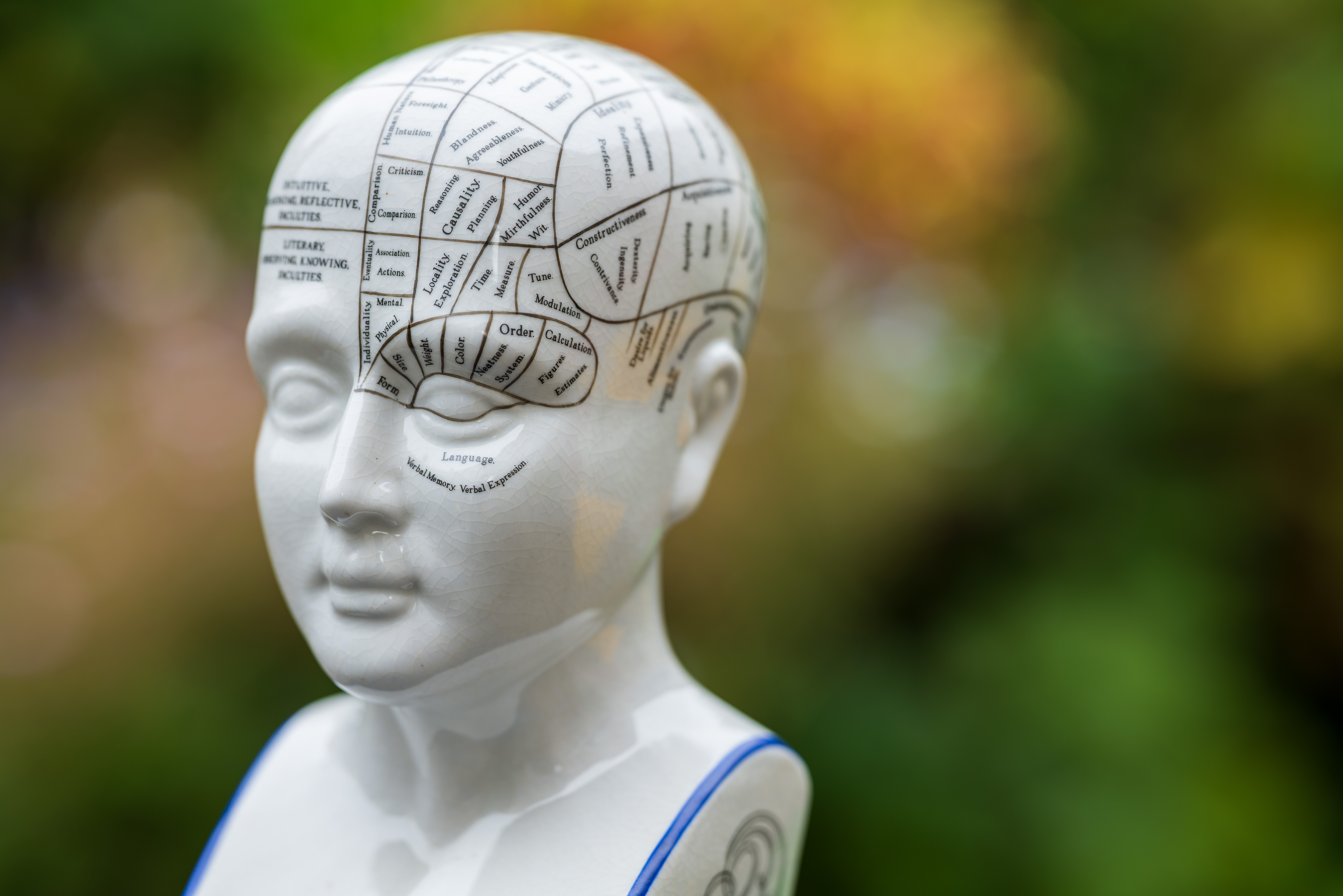 Sigma 135mm f/1.4 DG Art example shot