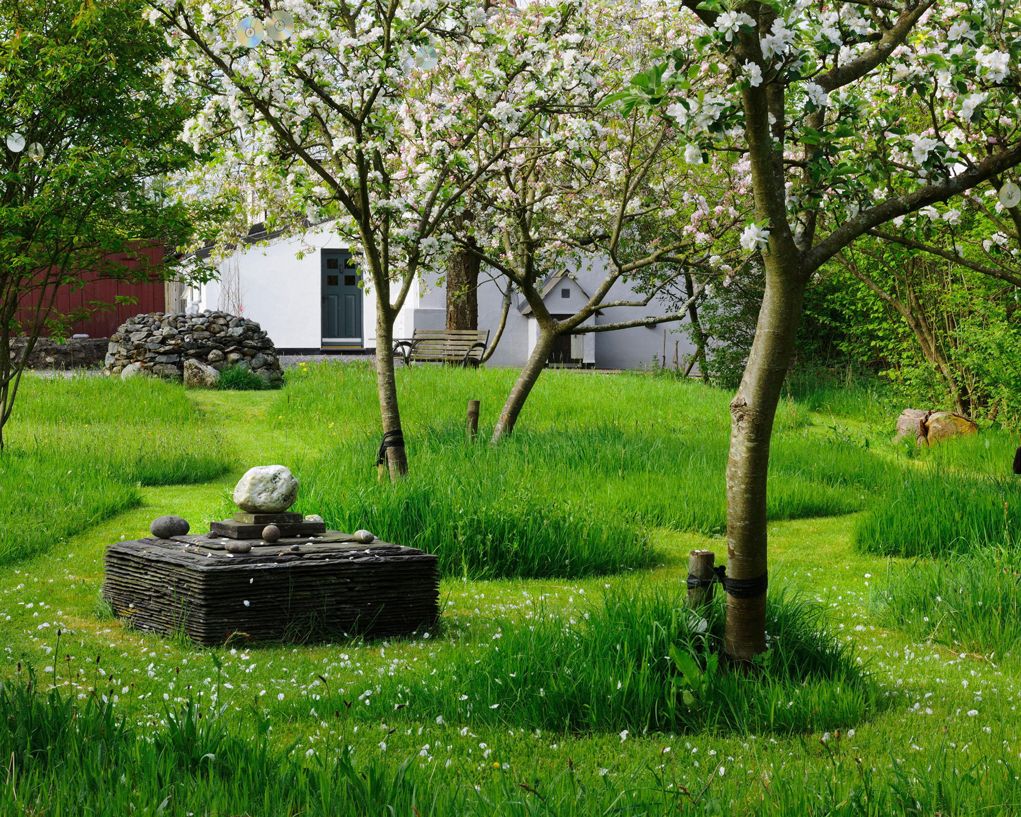 Maze cut through lawn