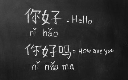 Travel: Immerse Yourself in a Foreign Language