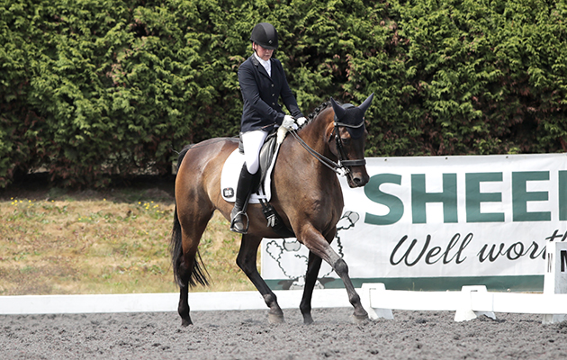 Horse &amp;amp; Hound Festival of Dressage Sheepgate Jade Pascoe