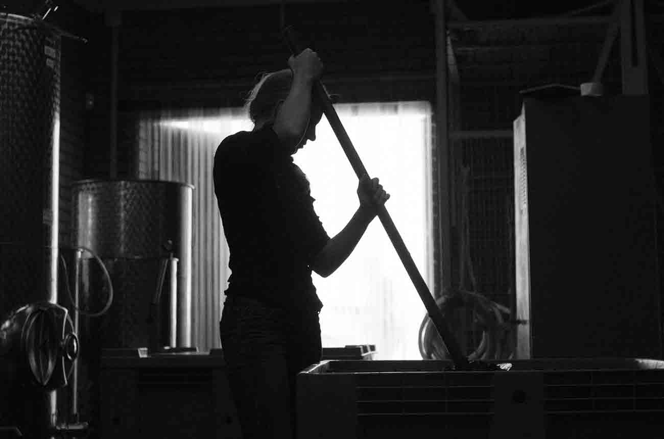 Ukrainian women in wine