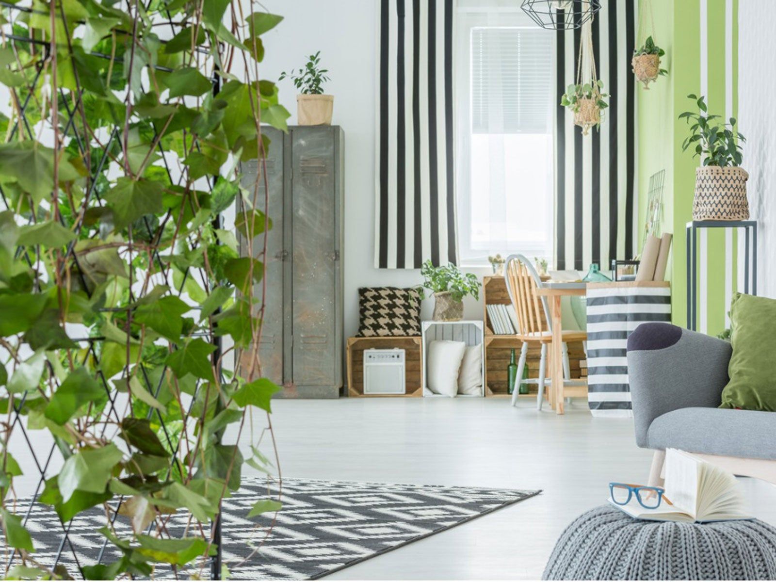 Houseplant Wall Divider Ideas How To Divide A Room With Plants houseplant-wall-divider-ideas-how-to-divide-a-room-with-plants
