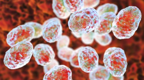 Science News, Latest Scientific Discoveries - Page 9 | Live Science