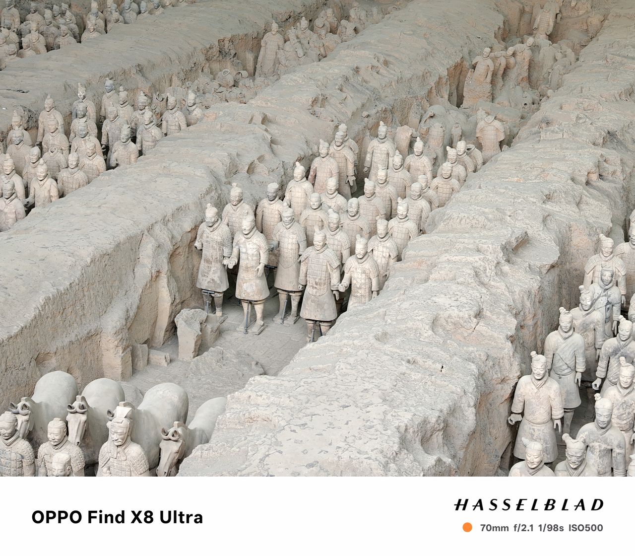 Rows of terracotta warriors