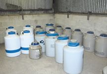 semen_containers-hr.jpg