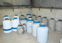 semen_containers-hr.jpg