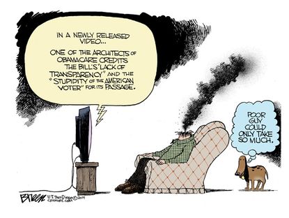 Political cartoon Gruber ObamaCare stupidity