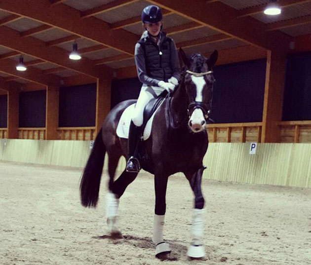 Hummus at the dressage to music demo