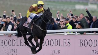 Paul Townend riding Galopin Des Champs to win the 2023 Gold Cup at Cheltenham Festival