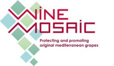 Wine Mosaic
