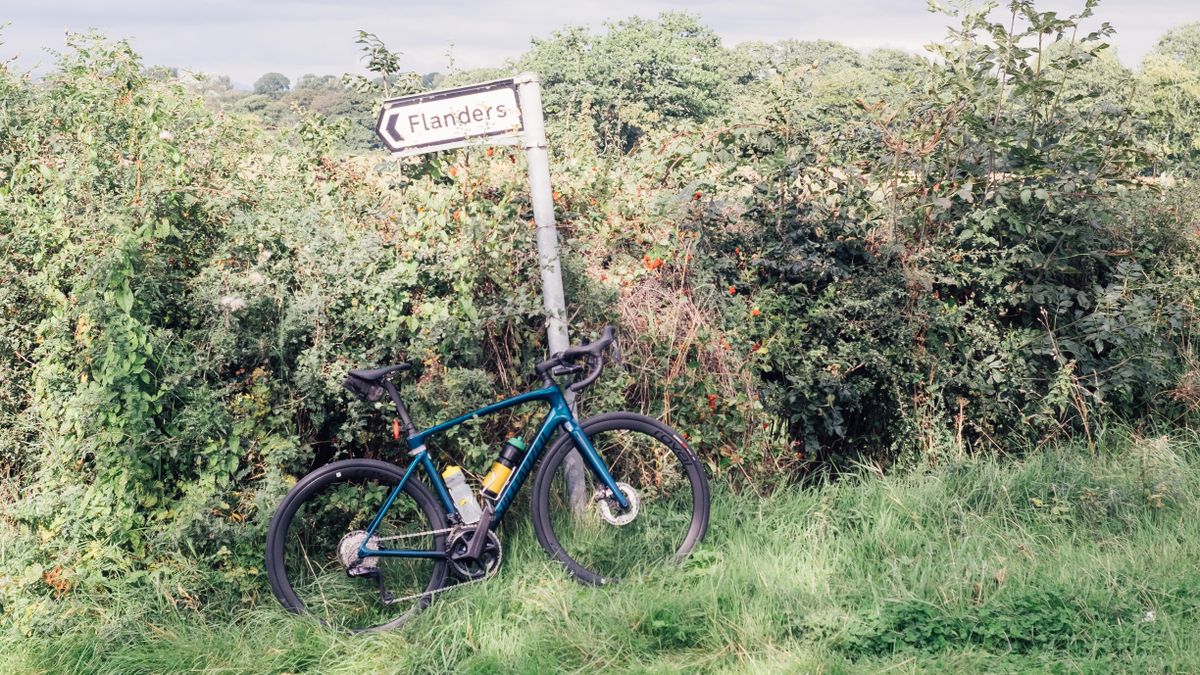 Specialized Roubaix Expert