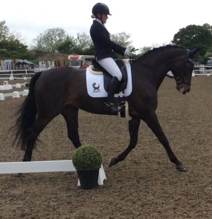 Amo strutting his stuff