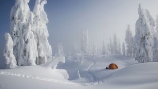 A bright orange tent among snow covered trees, on a snowy ridge overlooking a mountain