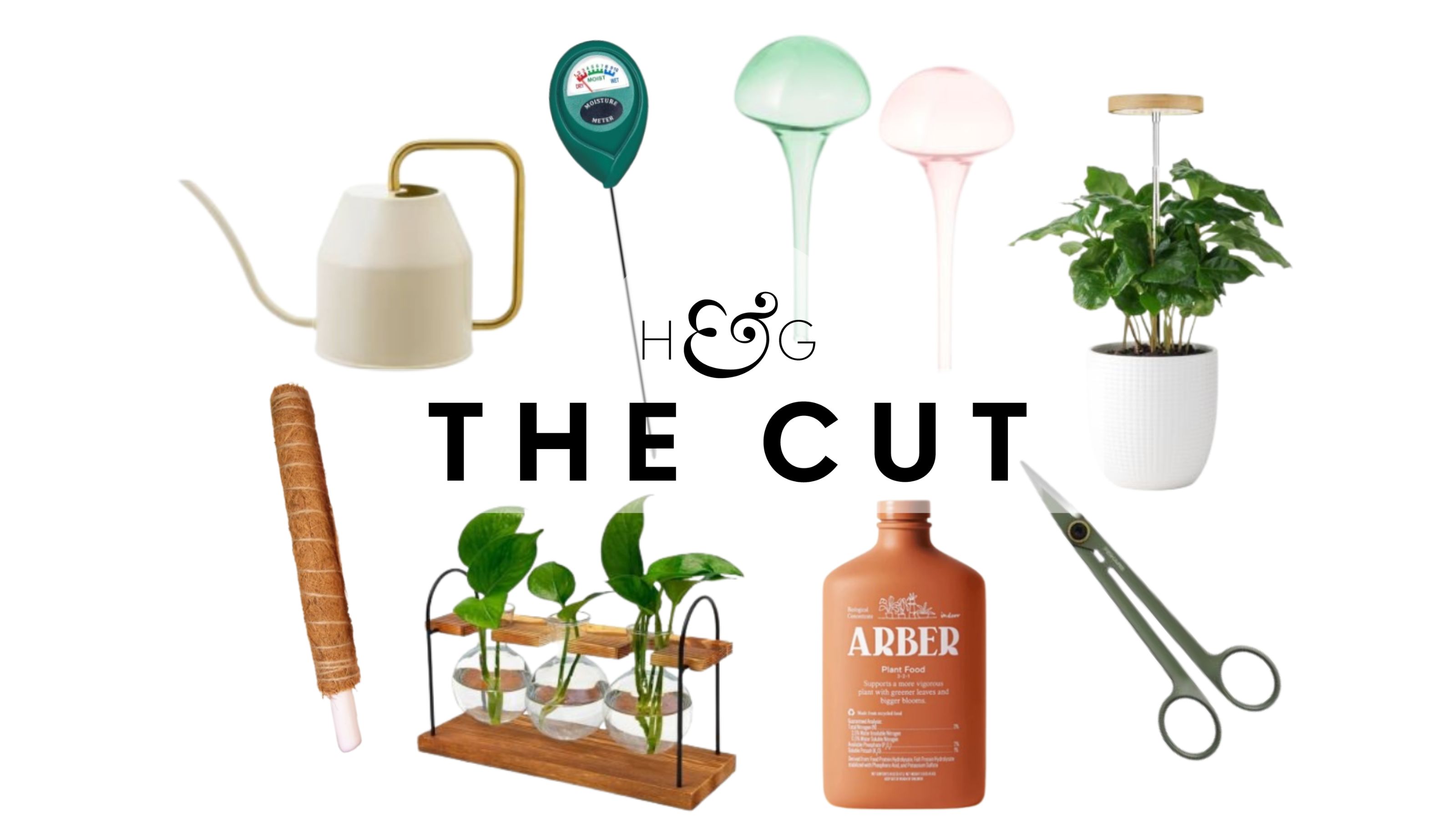 The Cut: Houseplant Care Kit