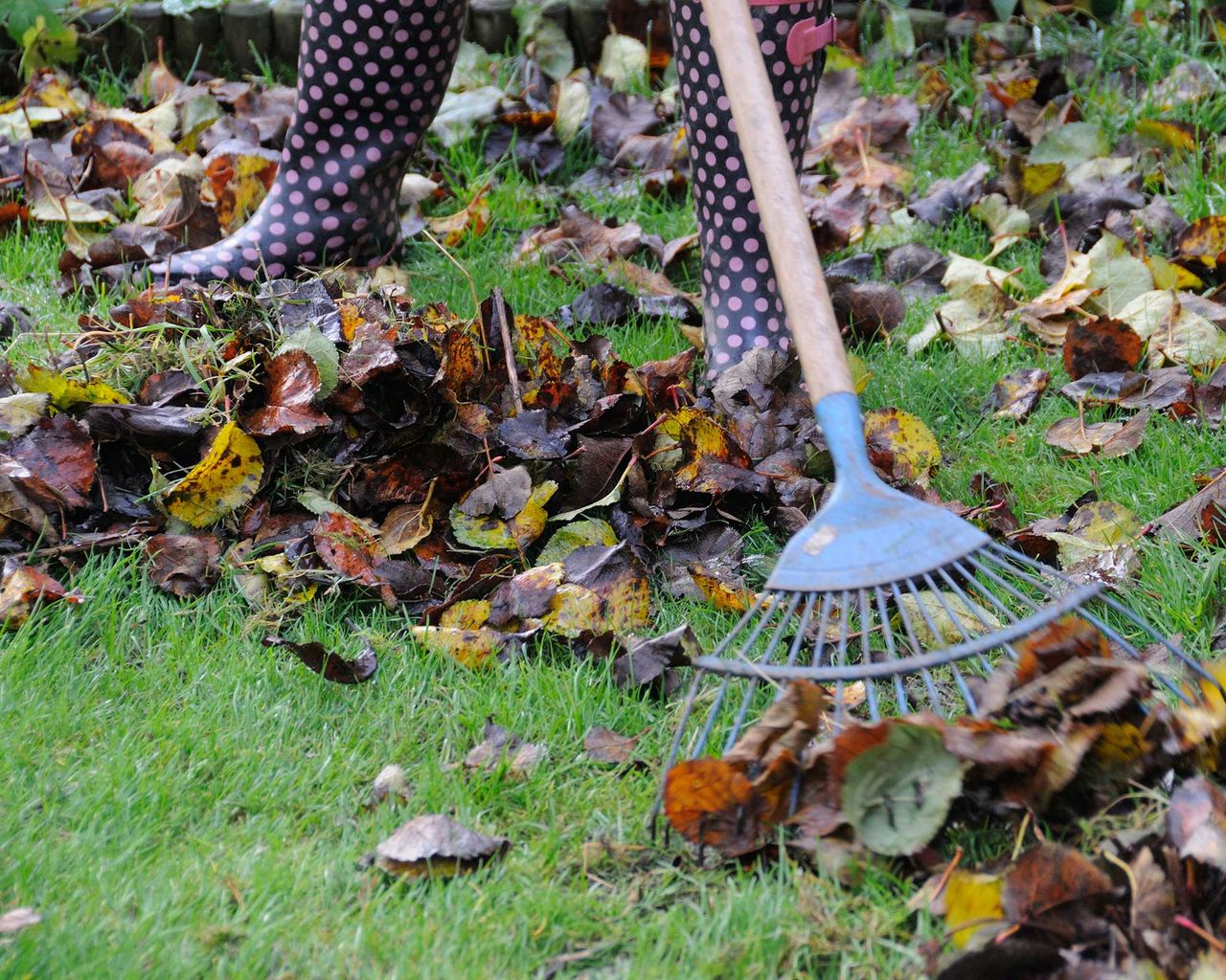 Winter jobs in the garden: 21 cold-weather chores that take care of ...