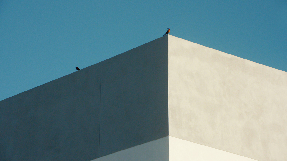 birds seen atop concrete structure, with blue sky