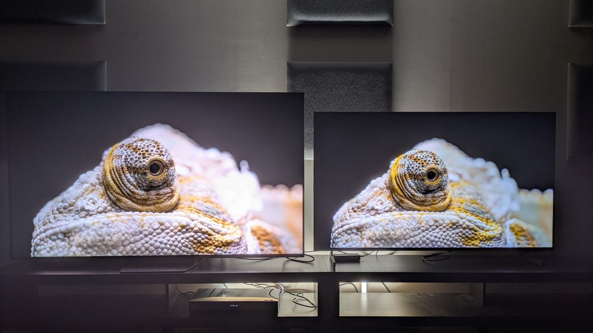 Hisense UR8 (left) and Samsung QN80H (right) showing a close-up of a white lizard on screen. The lizard appears much brighter on the UR8