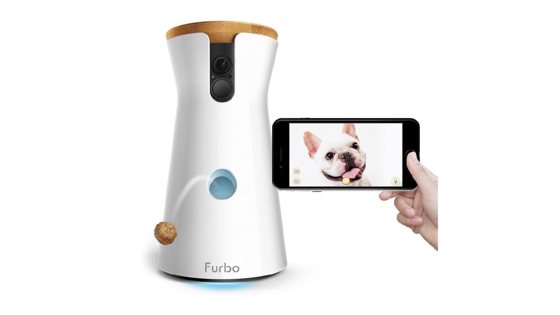 Best Pet Camera 2022: See What Your Furry Friend Gets Up To 