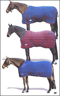 bestbuyrugs.jpg