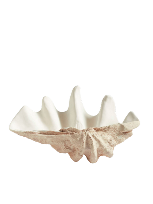 Large Shell Party Bucket