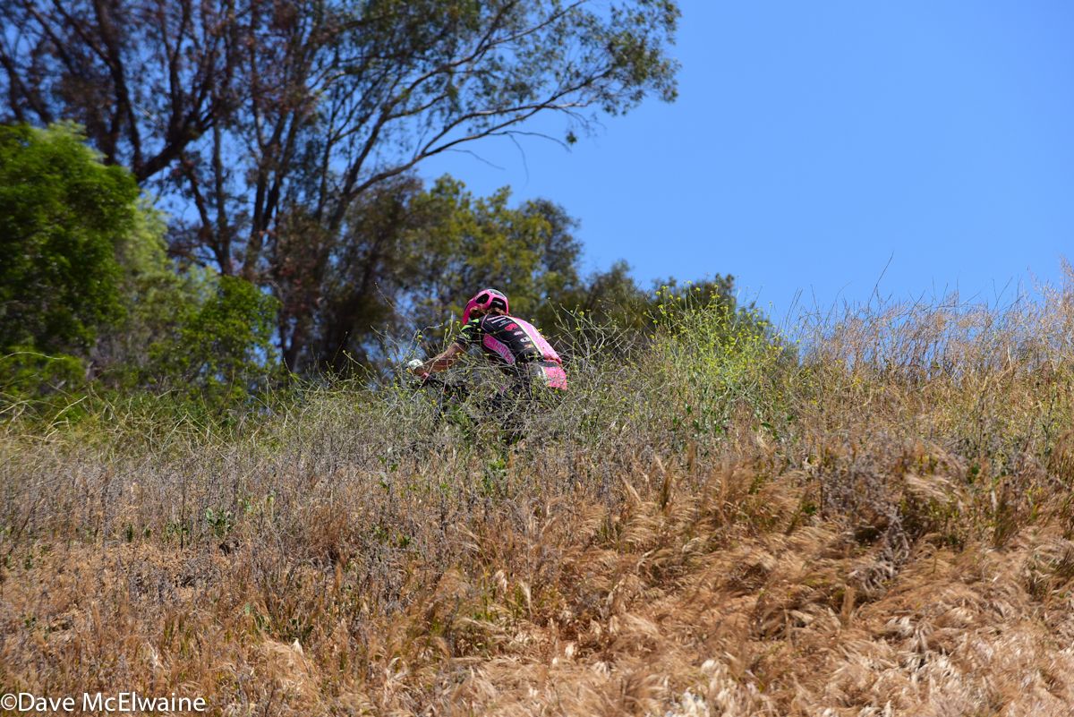 Nina Baum (NoTubes) climbs through the tall grasses on lap four
