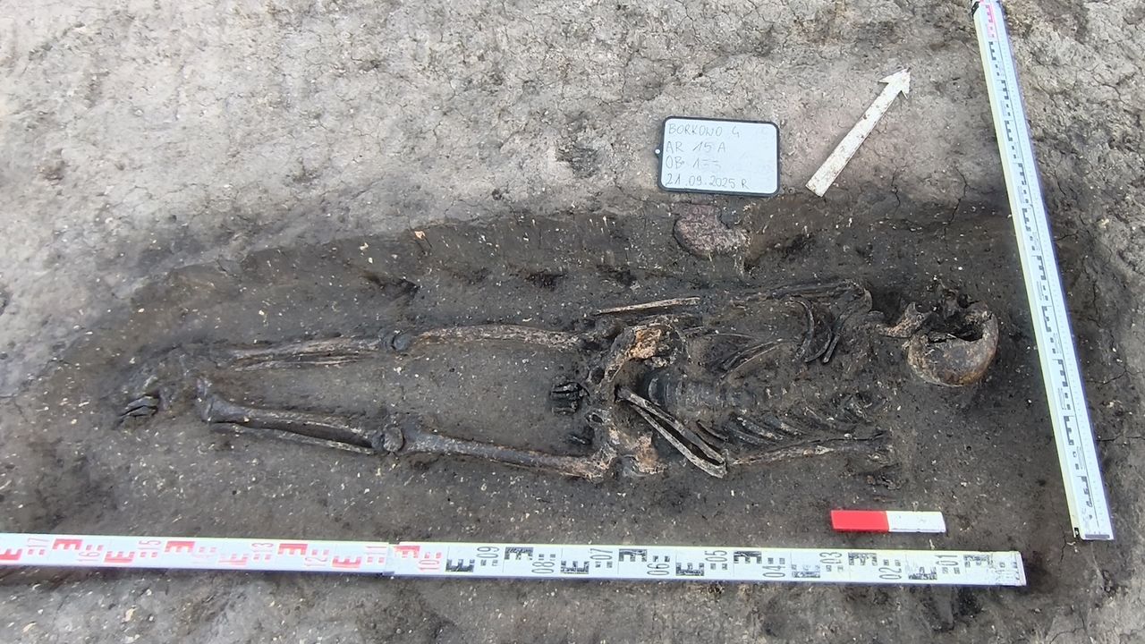 a view of an old skeleton in a grave