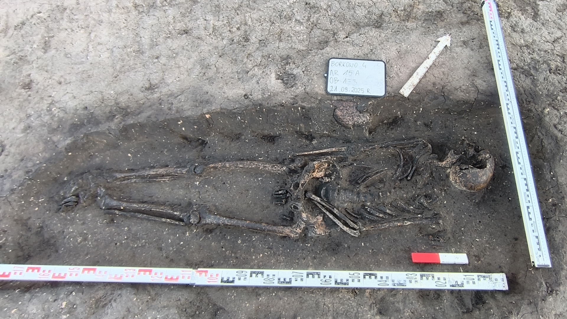 a view of an old skeleton in a grave