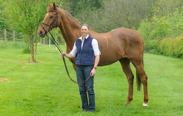 Over To You (Jack) photographed at Jeanette Brakewell's yard for Horse&amp;amp;Hound, May 2013.