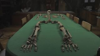 The skeletal remains of a hunter-gatherer man displayed on a green table.