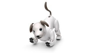 Sony Aibo