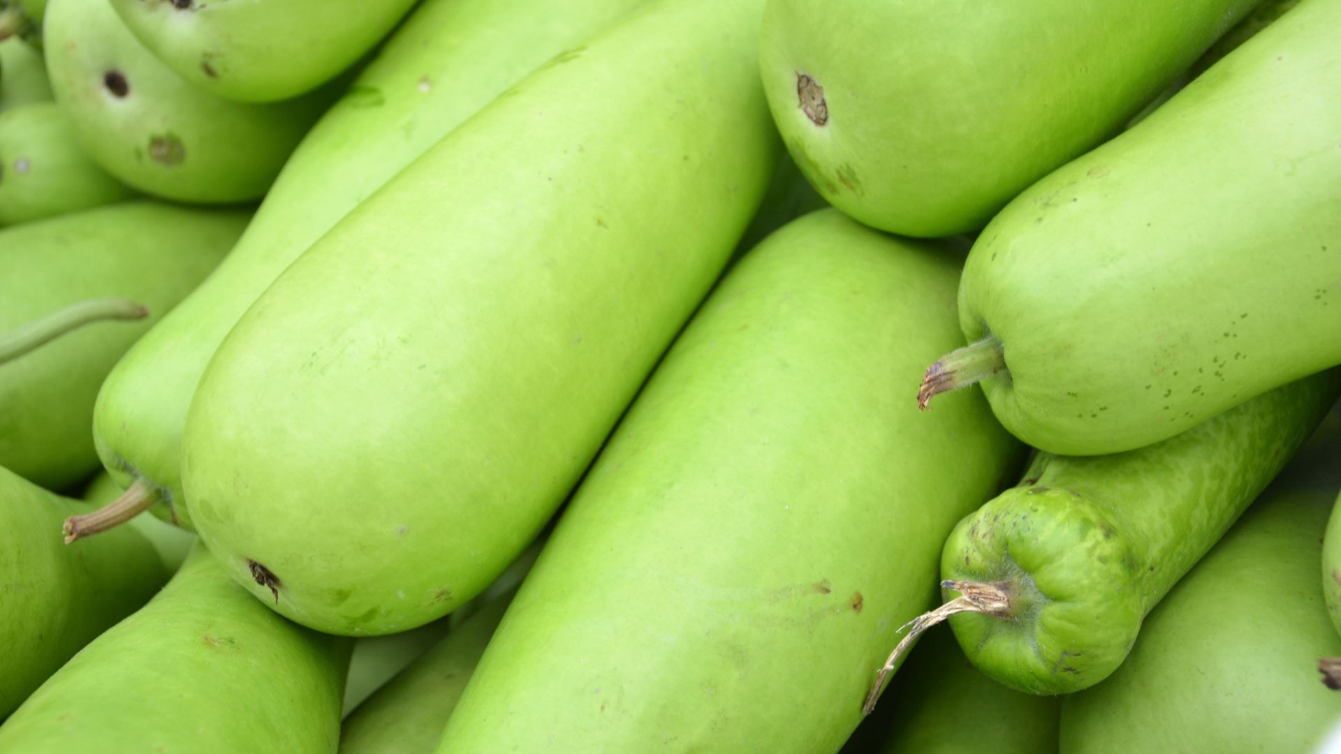 Woman gets rare case of 'toxic squash syndrome' after drinking bitter gourd  juice | Live Science