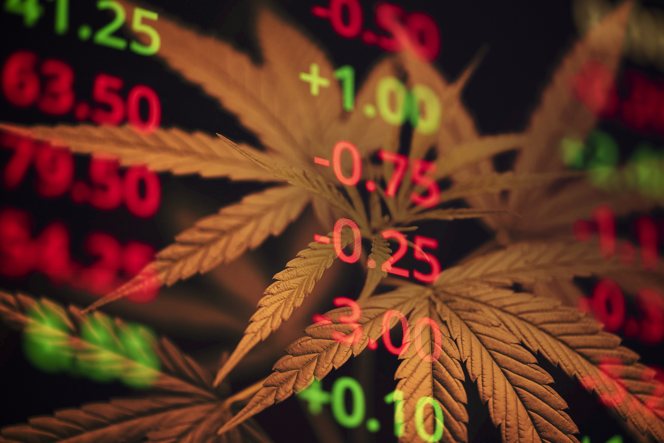 Cambria Cannabis ETF
