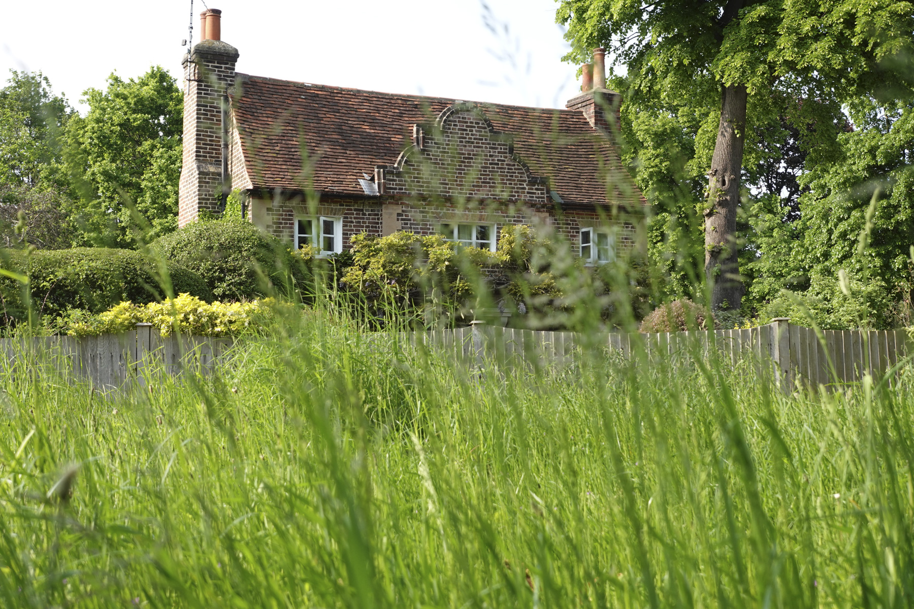 Low angle through long grass of a country house