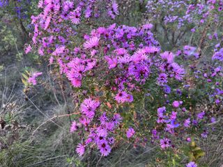 iPhone 13 Pro camera samples with wide-angle camera