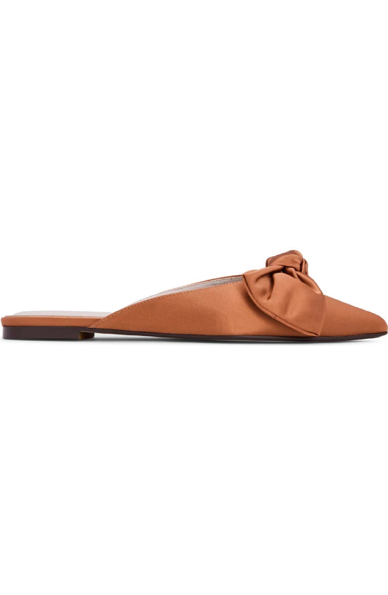 Clara Pointed Toe Mule